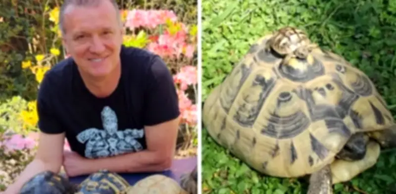 El hombre de las 400 tortugas: la vida de un jubilado italiano que creó un santuario en su jardín