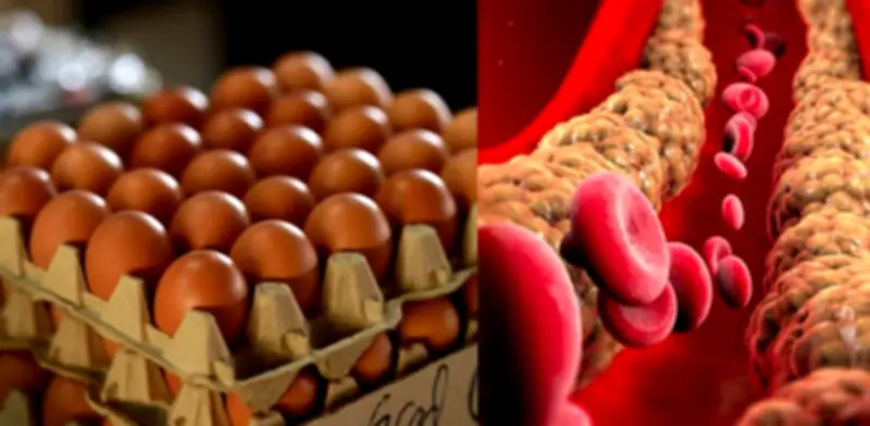 ¿El huevo realmente aumenta el colesterol? La ciencia desmiente un mito alimentario