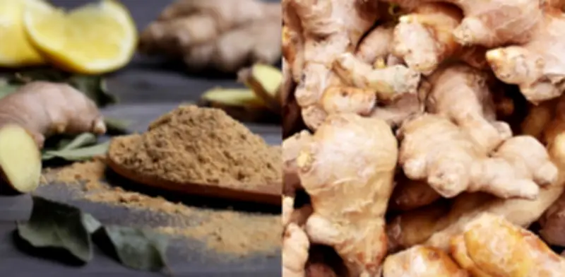 El jengibre como regulador natural de glucosa: beneficios y consumo recomendado