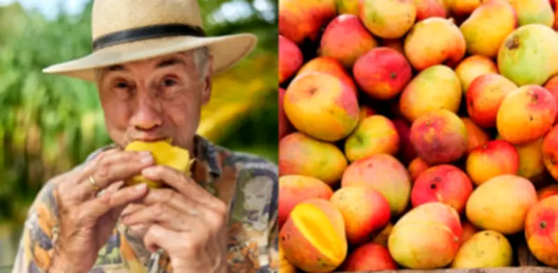 El mango: fruta tropical que regula el azúcar en sangre y es rica en magnesio