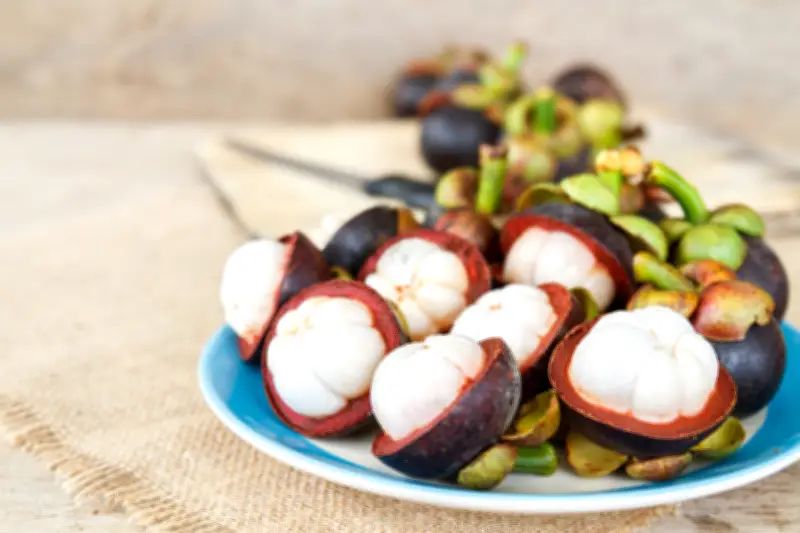 El Mangostino de Mariquita: Un Fruto con Historia, Sabor y Beneficios para la Salud