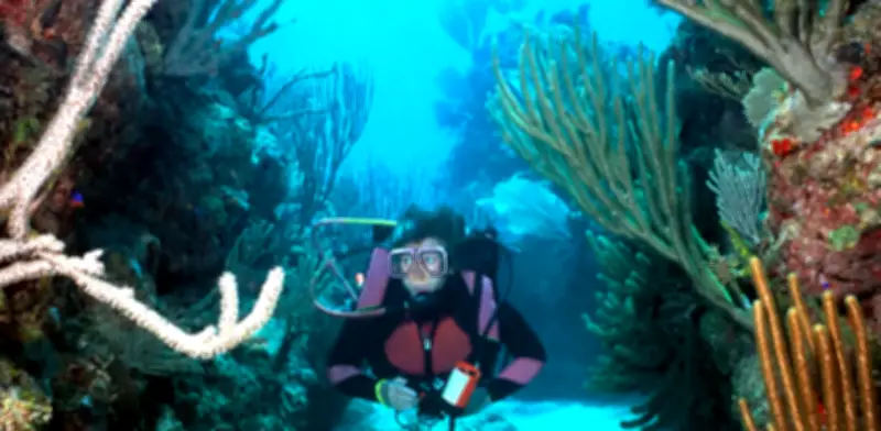 El océano se convierte en eje central de la supervivencia climática global