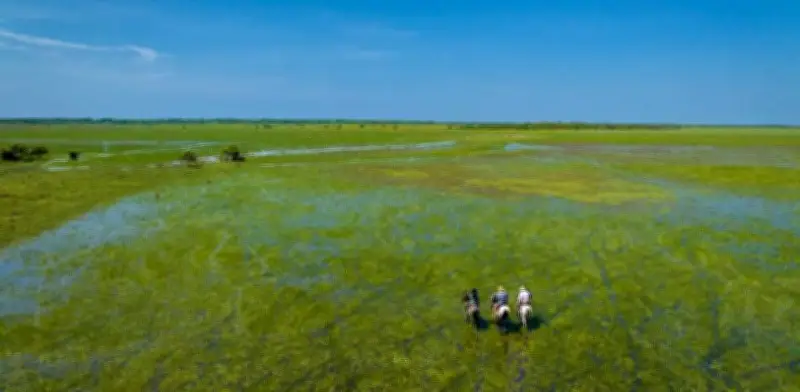 El paraíso verde de los Llanos Orientales: unión de tres departamentos colombianos