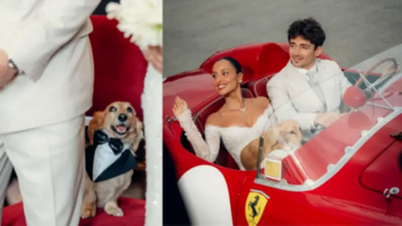 El perro Leo roba protagonismo en la boda privada de Charles Leclerc y Alexandra Saint Mleux
