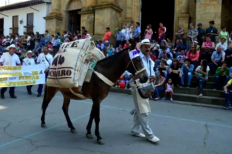 El Socorro celebra su 10° Festival del Café con una semana de actividades y concurso departamental