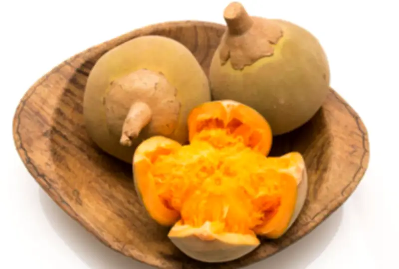 El zapote colombiano: un manjar tropical con múltiples beneficios ecológicos y nutricionales