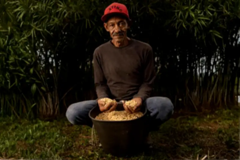 Eleazar Chavarría, a sus 66 años, cultiva tradición y sabor en la finca 'Jamaica' para Cartagena