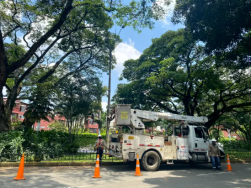 Emcali restaura iluminación en Carrera 50 de Cali tras denuncias ciudadanas sobre inseguridad