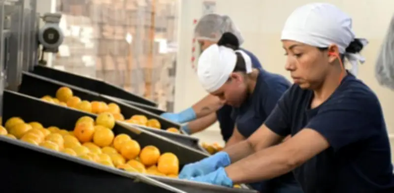 Empleo privado en Colombia cae 7,3% en enero de 2026, la mayor baja en 15 años