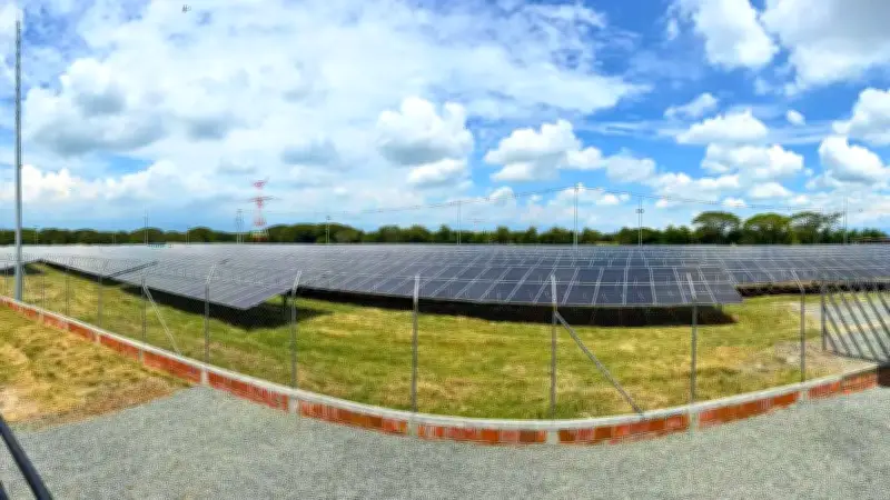 Empresa colombiana transforma su planta de alimentos para mascotas a energía solar