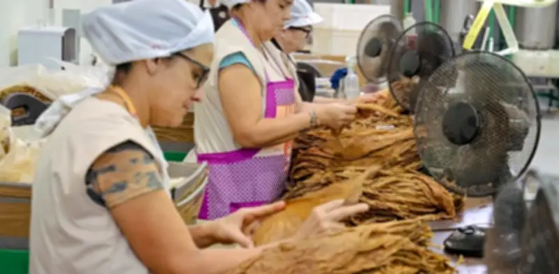 Empresas del Valle del Cauca devuelven 77 pesos por cada 100 generados a la sociedad