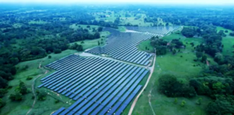 Energía solar supera al carbón por primera vez en la matriz eléctrica colombiana