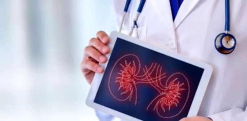 Enfermedad renal silenciosa: expertos alertan sobre urgencia de diagnóstico temprano