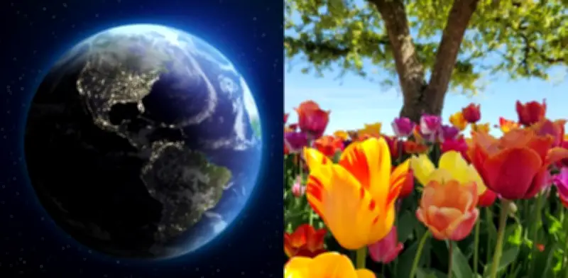 Equinoccio de primavera 2026: el día y la noche se igualan en Colombia y el mundo