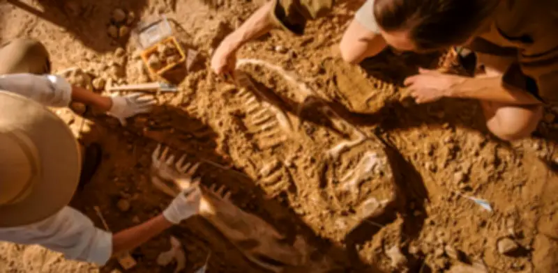 Esqueleto de Triceratops 'Trey' será subastado tras 30 años en museo por hasta 5,5 millones de dólares