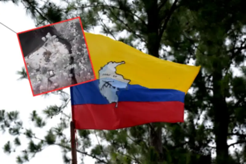 Estados Unidos y Ecuador bombardean campamento de disidencias FARC en frontera con Colombia