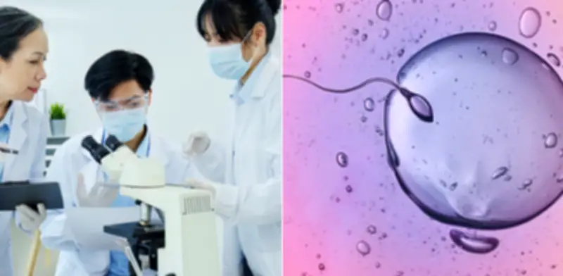 Estudio de Oxford cuestiona abstinencia para pruebas de fertilidad: eyaculación frecuente mejora calidad espermática