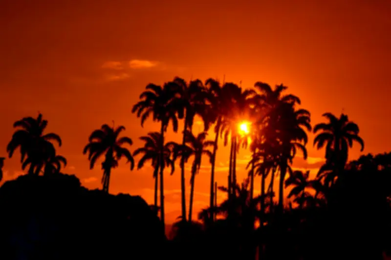 Estudio global advierte: calor extremo redibuja zonas habitables del planeta