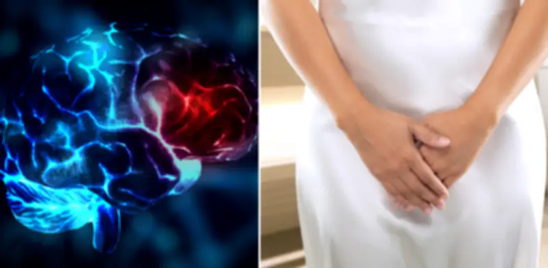 Estudio revela conexión entre infecciones graves y mayor riesgo de demencia en adultos mayores