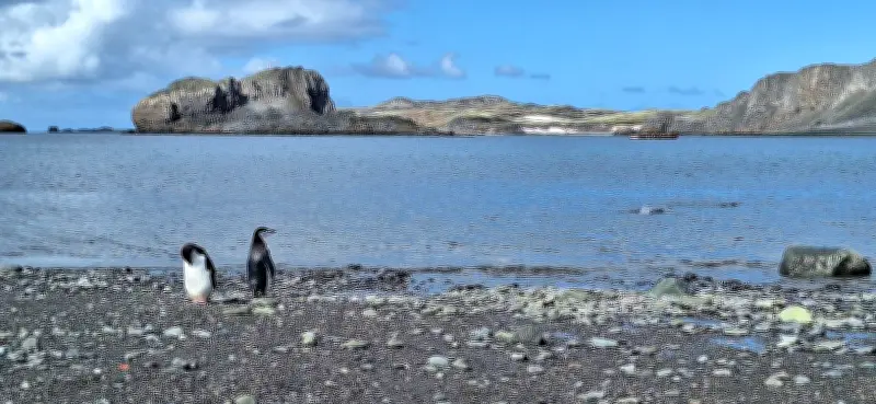 Estudio revela que el 77% de la costa antártica mantiene su hielo estable