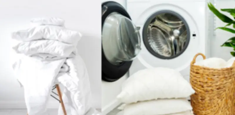 Expertos revelan cada cuánto lavar almohadas y método correcto para evitar bacterias