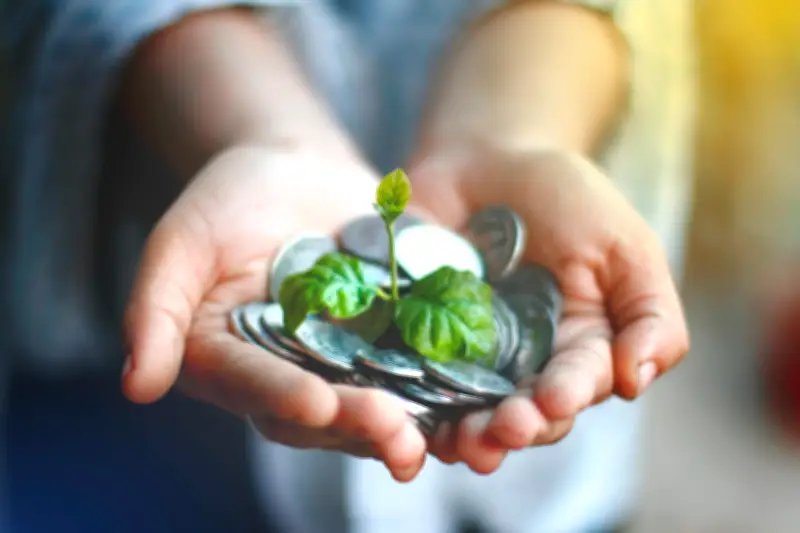 Expertos revelan el error más común al invertir dinero y cómo evitarlo