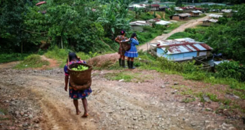 Explotación sexual de niñas indígenas en Chocó: ELN y Clan del Golfo operan red criminal