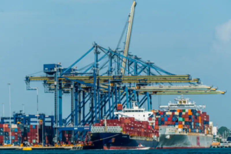 Exportaciones colombianas crecen 12,6% en enero de 2026 impulsadas por otros sectores