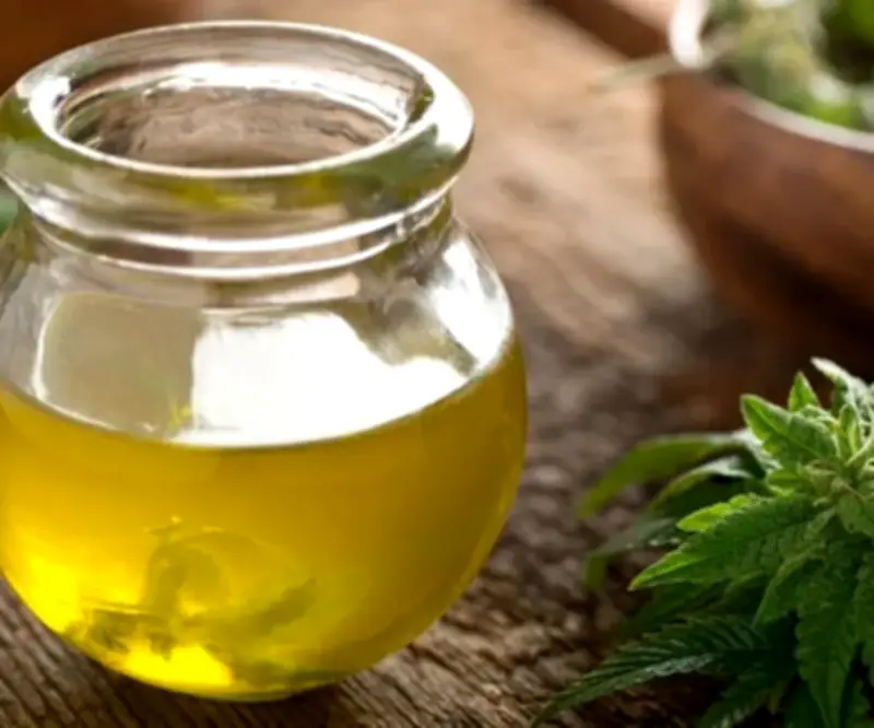 Exportaciones de cannabis uruguayo superan los 2 millones de dólares con crecimiento sostenido