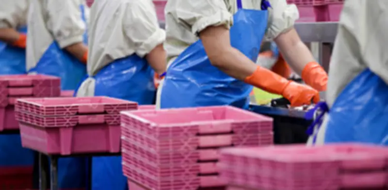 Exportaciones pesqueras colombianas crecen 11,6% en 2025 superando barreras arancelarias en EE. UU.