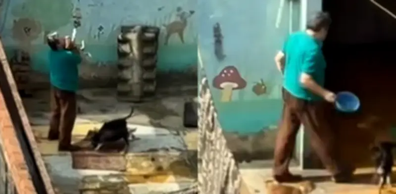 Fallece Iván, cuidador de 22 perros callejeros en Engativá, dejándolos en situación crítica