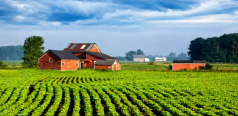 Familia agrícola en Kentucky rechaza oferta de 26 millones por centro de datos de IA