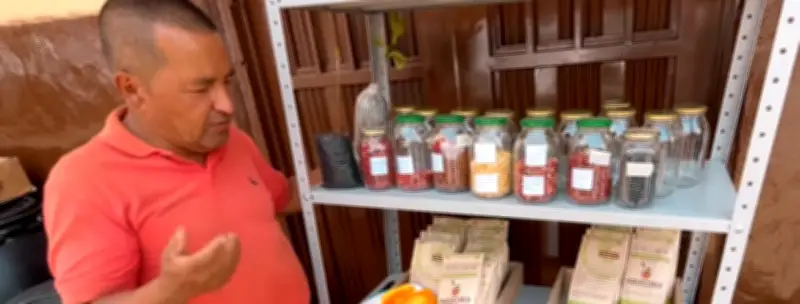 Familias campesinas de Bolívar, Cauca, fortalecen banco de semillas nativas y huertas caseras