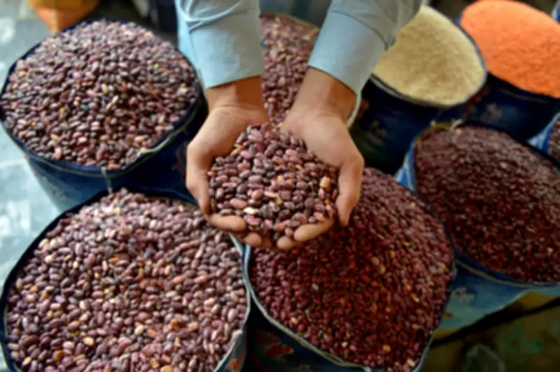 FAO reporta alza en precios globales de alimentos tras cinco meses de descensos