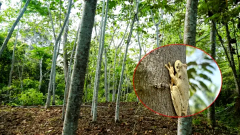 Fauna silvestre regresa a La Fortuna ocho años después del derrame del pozo Lisama 158