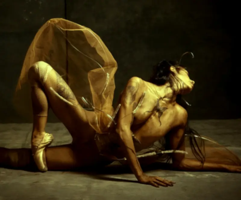 FIAV Bogotá 2026: Tres Grandes Estrenos Escénicos Iluminarán el Festival de Artes Vivas