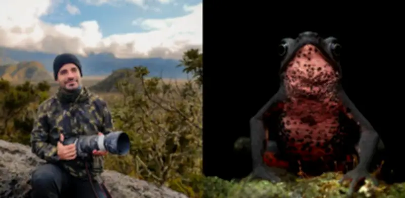 Fotógrafo colombiano gana premio internacional con imagen de rana en peligro crítico