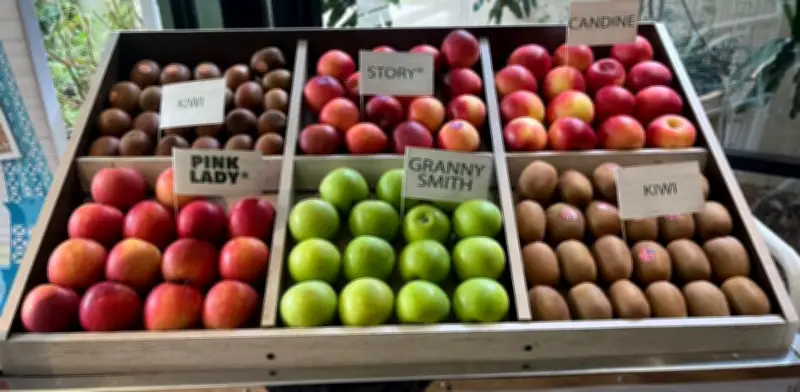 Francia y Colombia fortalecen lazos comerciales y culturales a través de la fruta en 2026