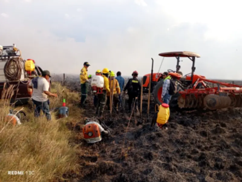 Fundación Palmarito denuncia incendio intencional en Casanare que arrasó 2.500 hectáreas