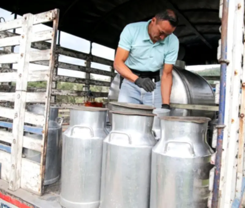 Ganaderos critican aumento insuficiente en precio de la leche al productor
