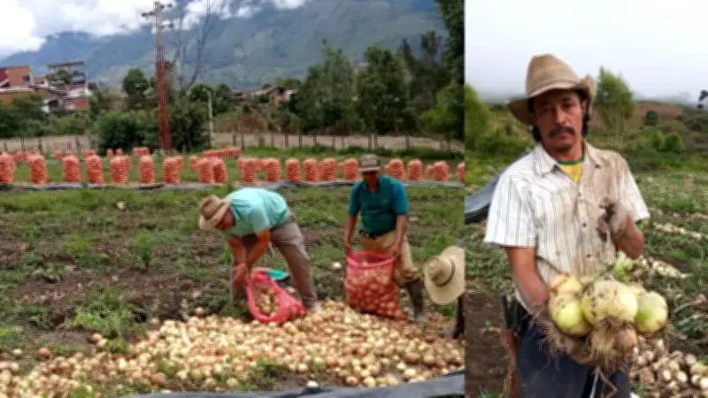 Gobernación de Santander exige explicaciones al IGAC por incrementos del impuesto predial
