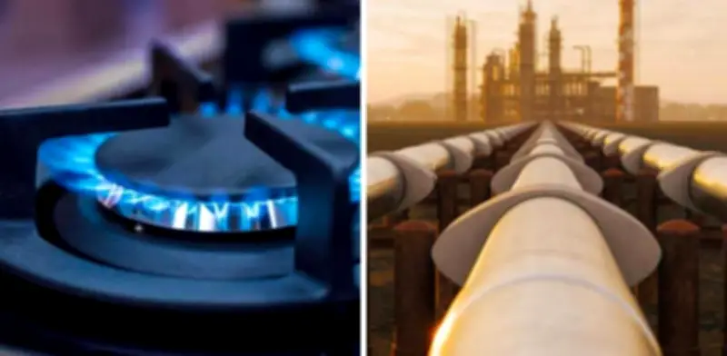 Gobierno activa plan con PDVSA para reparar gasoducto y reactivar importaciones de gas venezolano