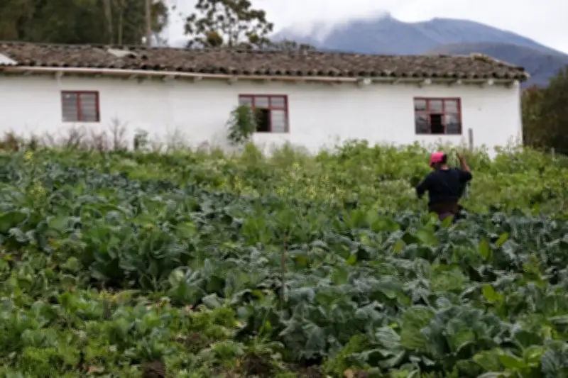 Gobierno crea tribunales agrarios exclusivos para resolver conflictos de tierras en zonas rurales
