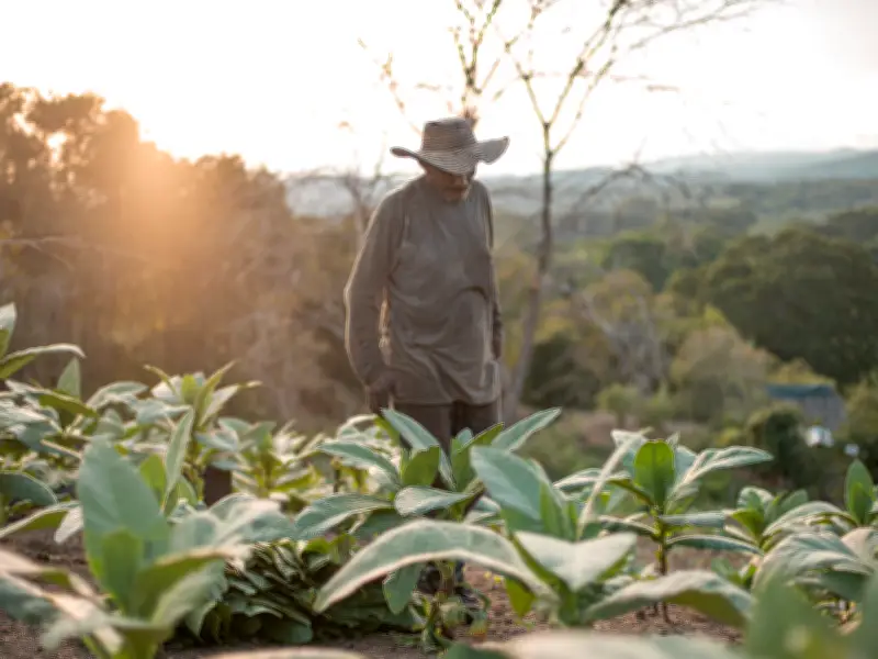Gobierno destina COP 18 billones para redistribución de tierras en nueva política agraria