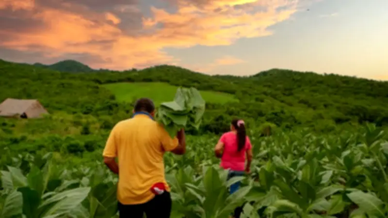 Gobierno Petro lanza plan de redistribución de tierras con compra masiva y fortalecimiento de la ANT