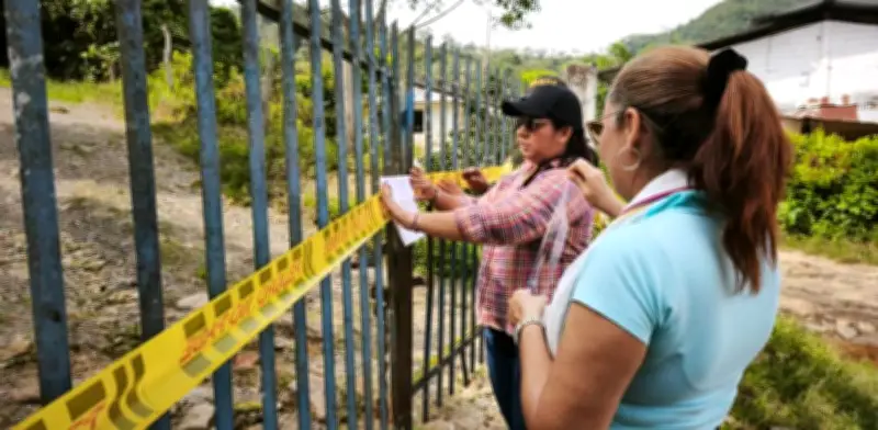 Granja avícola clandestina en reserva forestal de Guaduas es suspendida por contaminación