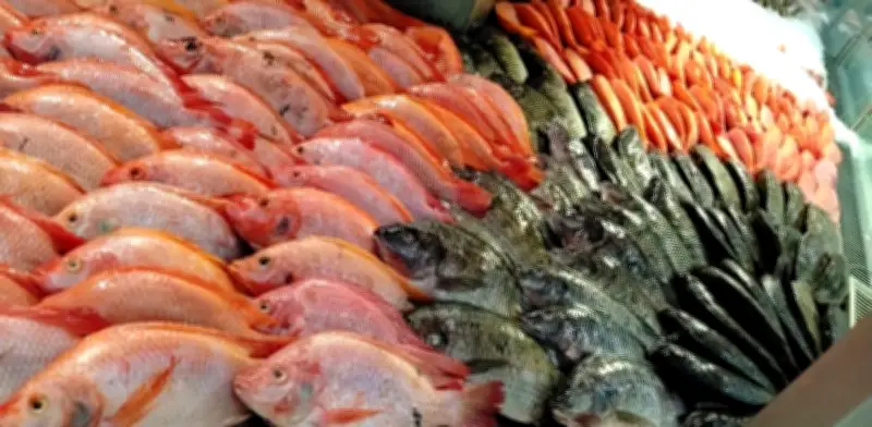 Grupo Éxito prioriza pescado colombiano para Cuaresma con 1.900 toneladas y descuentos