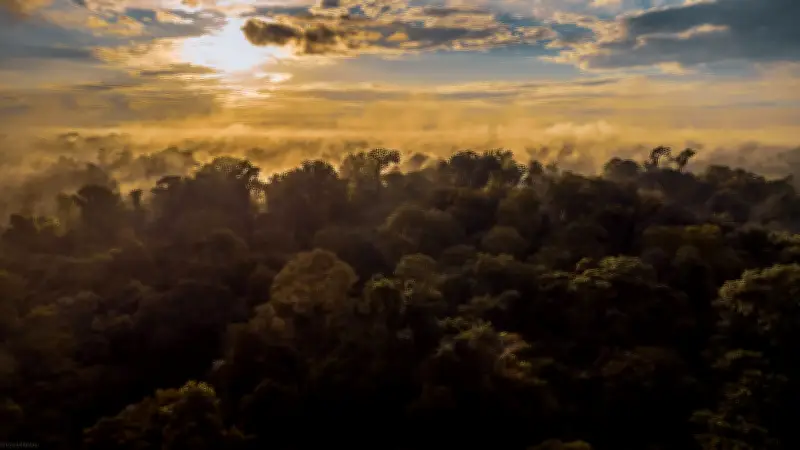 Guardabosque del Magdalena Medio descubre especie rara en bosque húmedo tropical