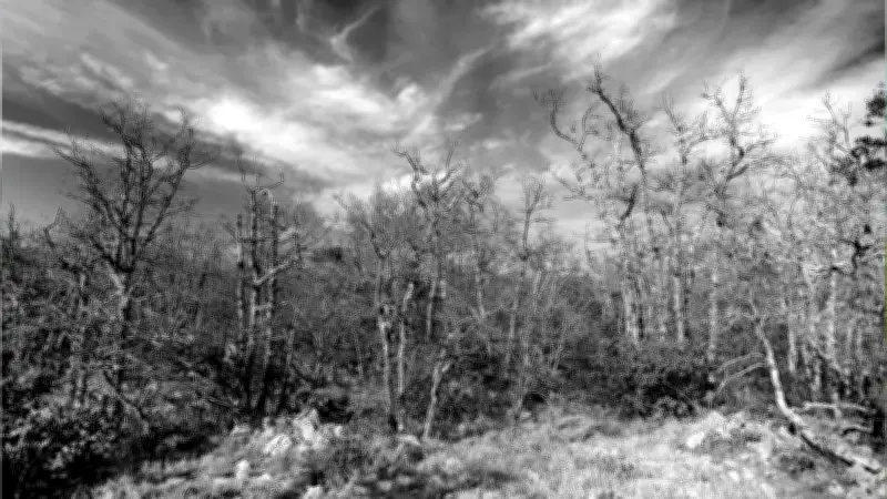 Hallan videos del crimen de dos hermanas en Malambo en celular de presunto asesino