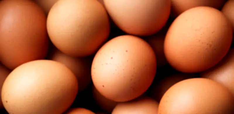 Huevos y papa suben de precio en Corabastos mientras aguacate hass registra fuerte caída